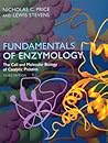 Fundamentals of E...