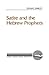 Satire and the Hebrew Prophets (Literary Currents in Biblical Interpretation)