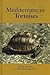Mediterranean Tortoises by Lance Jepson