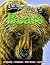 100 Facts: Bears