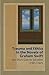 Trauma and Ethics in the Novels of Graham Swift: No Short-Cuts to Salvation