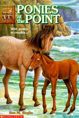 Ponies at the Point (Animal Ark Summer Special, #2)