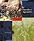 The Surrender at Appomattox (Cornerstones of Freedom Second Series)