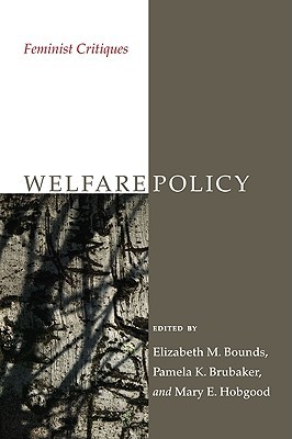 Welfare Policy: Feminist Critiques (Paperback)