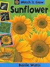 Sunflower (Watch It Grow)