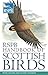 RSPB Handbook of Scottish Birds