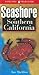 Seashore of Southern Califo...