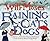 Raining Cats and Dogs: A Co...