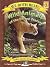 Wild Animals of the United States (We Both Read Level 2)
