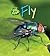 Fly (Bug Books)