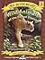Wild Animals of the United ...