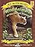 Wild Animals of the United States by Dev Ross