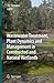 Wastewater Treatment, Plant Dynamics and Management in Constr... by Jan Ed Vymazal