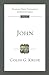 John (Tyndale New Testament Commentaries)
