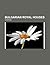 Bulgarian Royal Houses: Asen Dynasty, Cometopuli Dynasty, House of Battenberg, House of Saxe-Coburg and Gotha (Bulgaria), Shishman Dynasty