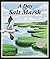 A Day in the Salt Marsh