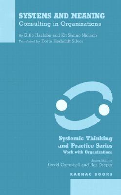 Systems and Meaning: Consulting in Organizations (The Systemic Thinking and Practice Series: Work with Organizations)