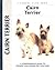 Cairn Terrier