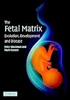 The Fetal Matrix: Evolution, Development and Disease The Fetal Matrix: Evolution, Development and Disease
