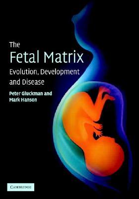 The Fetal Matrix: Evolution, Development and Disease (Paperback)