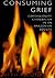 Consuming Grief by Beth A. Conklin