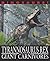 Tyrannosaurus Rex and Other...