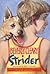 Strider by Beverly Cleary