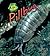 Pillbug (Bug Books; Heinema...