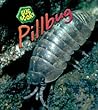 Pillbug (Bug Books; Heinemann First Library)