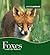 Foxes (Animals Animals)