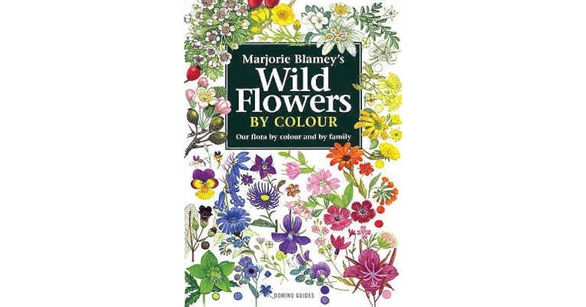 Wild Flowers by Colour The Easy Way to Flower Identification by