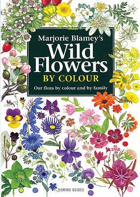 Wild Flowers by Colour (Paperback)