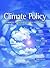 Climate Policy Options Post-2012 (Climate Policy Series)