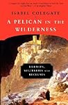 A Pelican in the Wilderness: Hermits, Solitaries, and Recluses