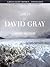 David Gray - Life in Slow Motion