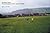 European Fields by Simon Kuper