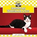 American Wirehair Cats
