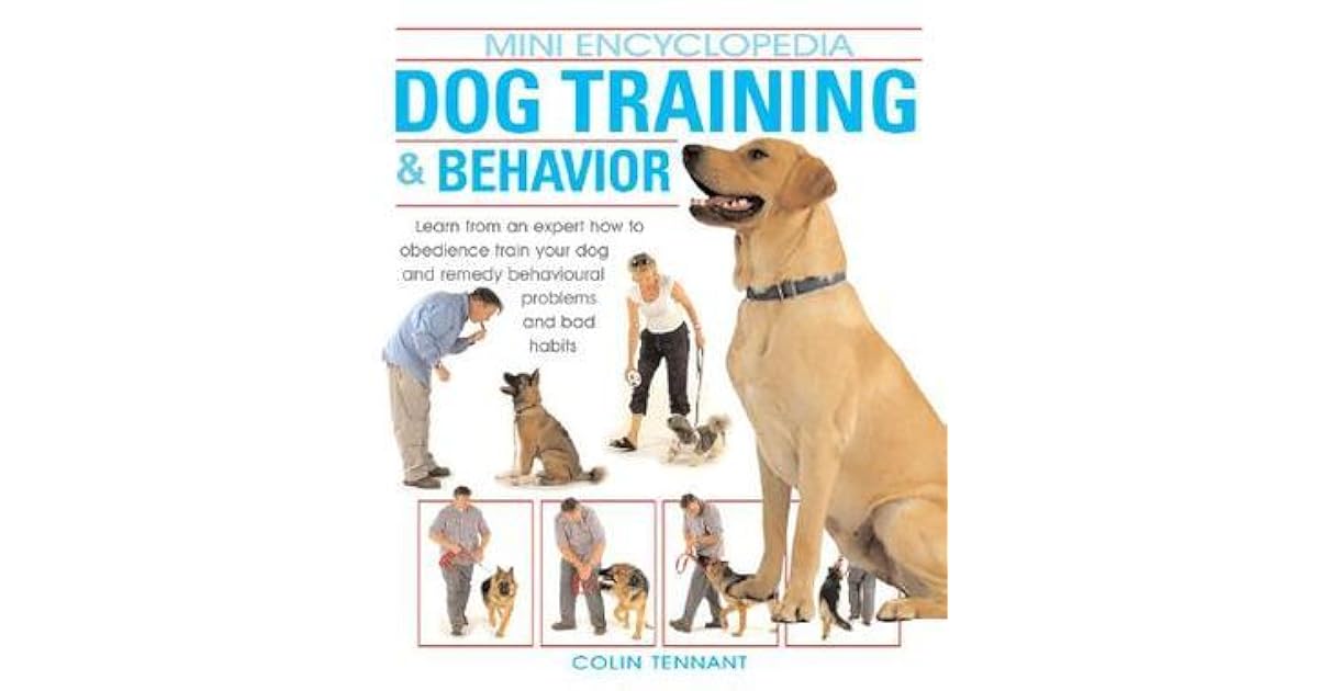 Nina’s review of Dog Training & Behavior Learn from a Dog Behavior