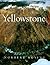 Yellowstone by Norbert Rosing