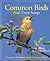 Common Birds and Their Song...