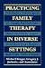 Practicing Family Therapy i...