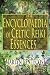 The Encyclopaedia of Celtic...