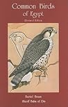 Common Birds of Egypt