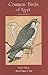Common Birds of Egypt by Bertel Bruun