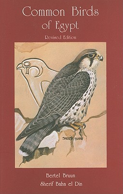 Common Birds of Egypt (Paperback)