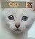 Cats (My First Look At: Pets)