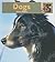 Dogs (My First Look At: Pets)