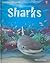 Sharks by Jonathan Sheikh-Miller