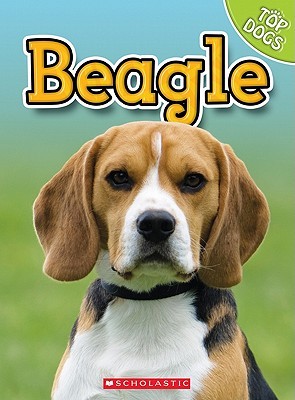Beagle (Top Dogs (Children's Press) (Library))