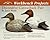 Workbench Projects: Decorative Canvasback Pair (Wildfowl Carving Magazine Workbench Projects)